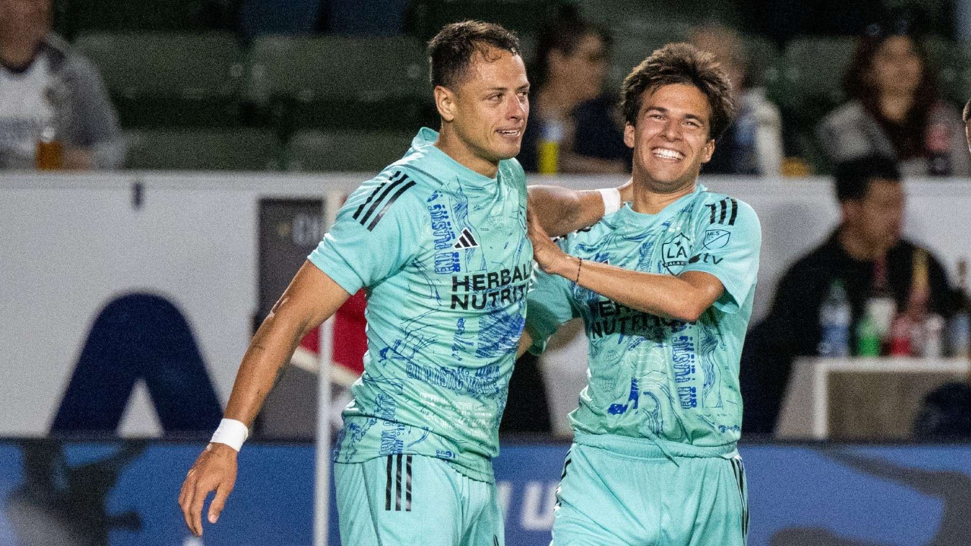 樣在保持體 樣在保持體